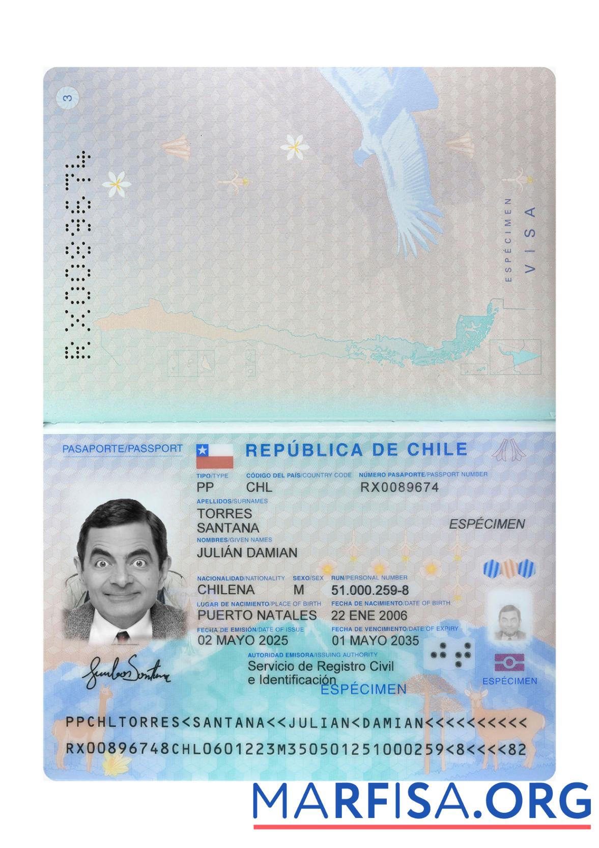 Printable Chile passport 2025 present template